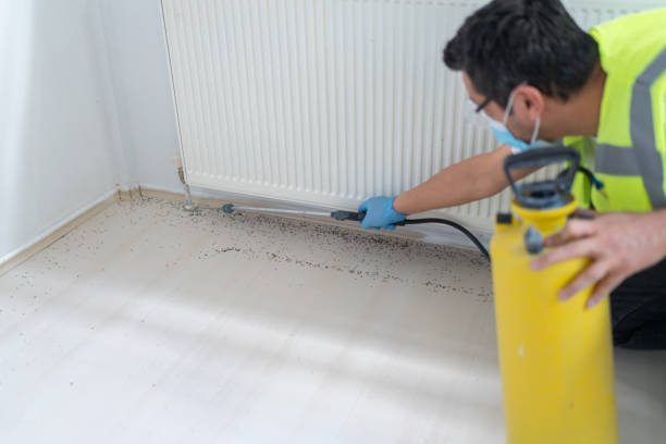 Best Pest Prevention Services  in Granite Shoals, TX