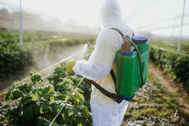  Granite Shoals, TX Pest Control Pros